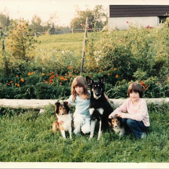 whitegoldens13
